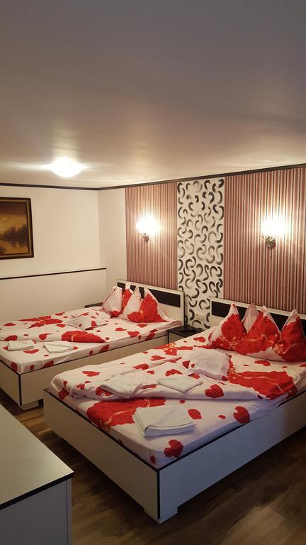 Casa Leo Apartment Haţeg Екстериор снимка