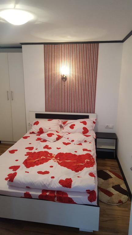 Casa Leo Apartment Haţeg Екстериор снимка