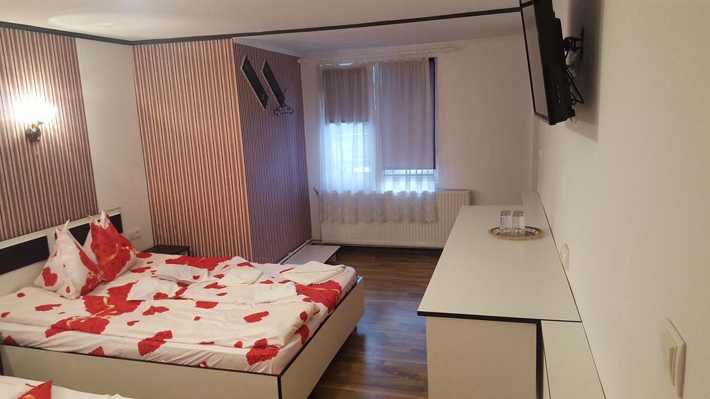 Casa Leo Apartment Haţeg Екстериор снимка