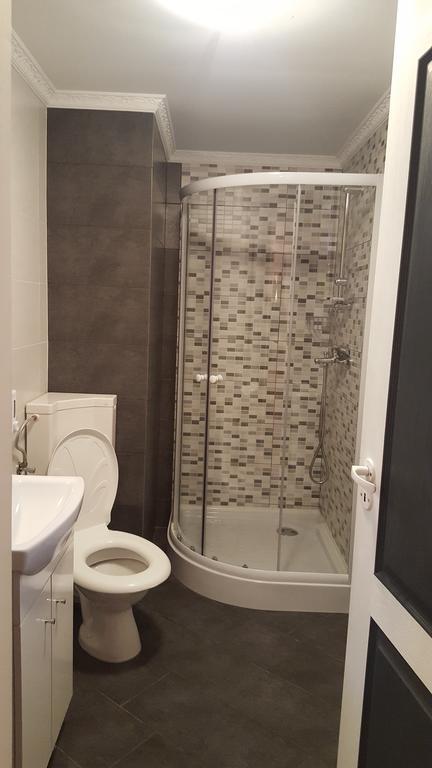 Casa Leo Apartment Haţeg Екстериор снимка