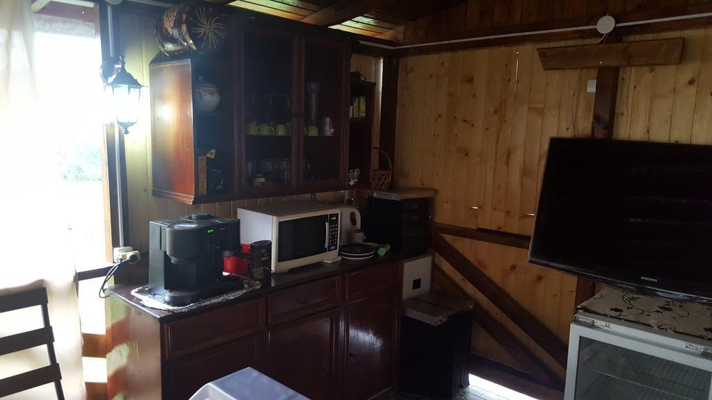 Casa Leo Apartment Haţeg Екстериор снимка