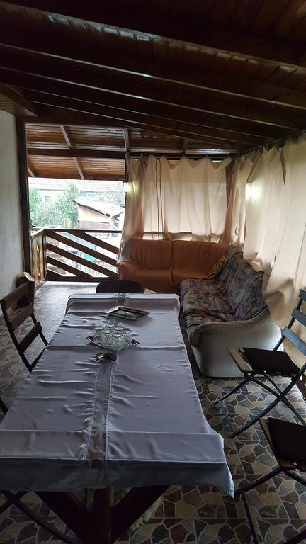Casa Leo Apartment Haţeg Екстериор снимка