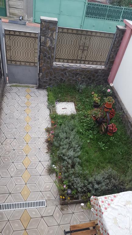 Casa Leo Apartment Haţeg Екстериор снимка
