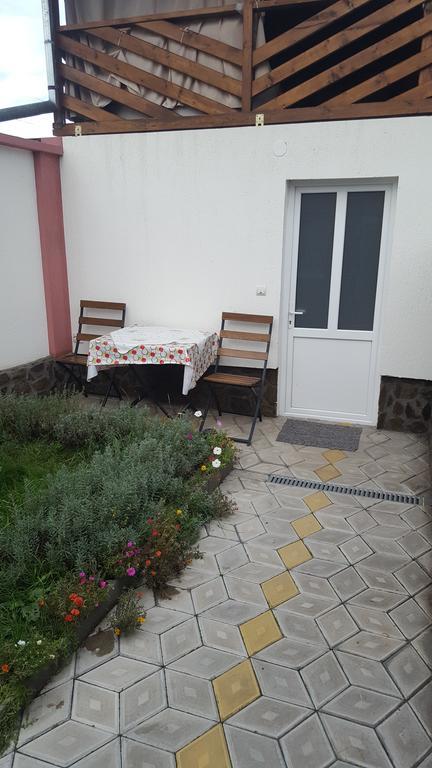 Casa Leo Apartment Haţeg Екстериор снимка