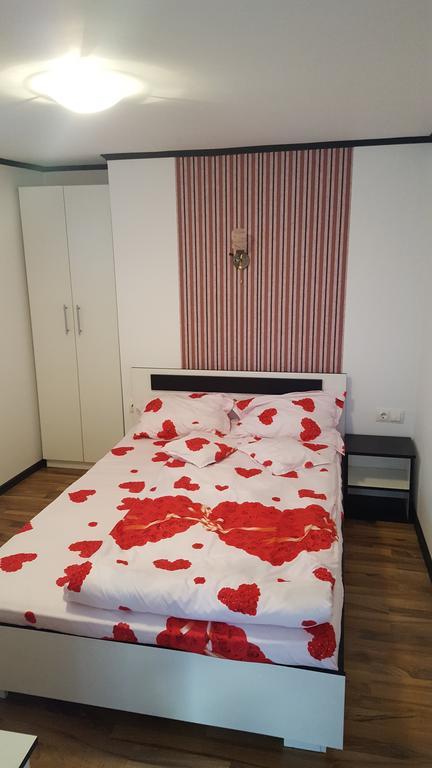 Casa Leo Apartment Haţeg Екстериор снимка